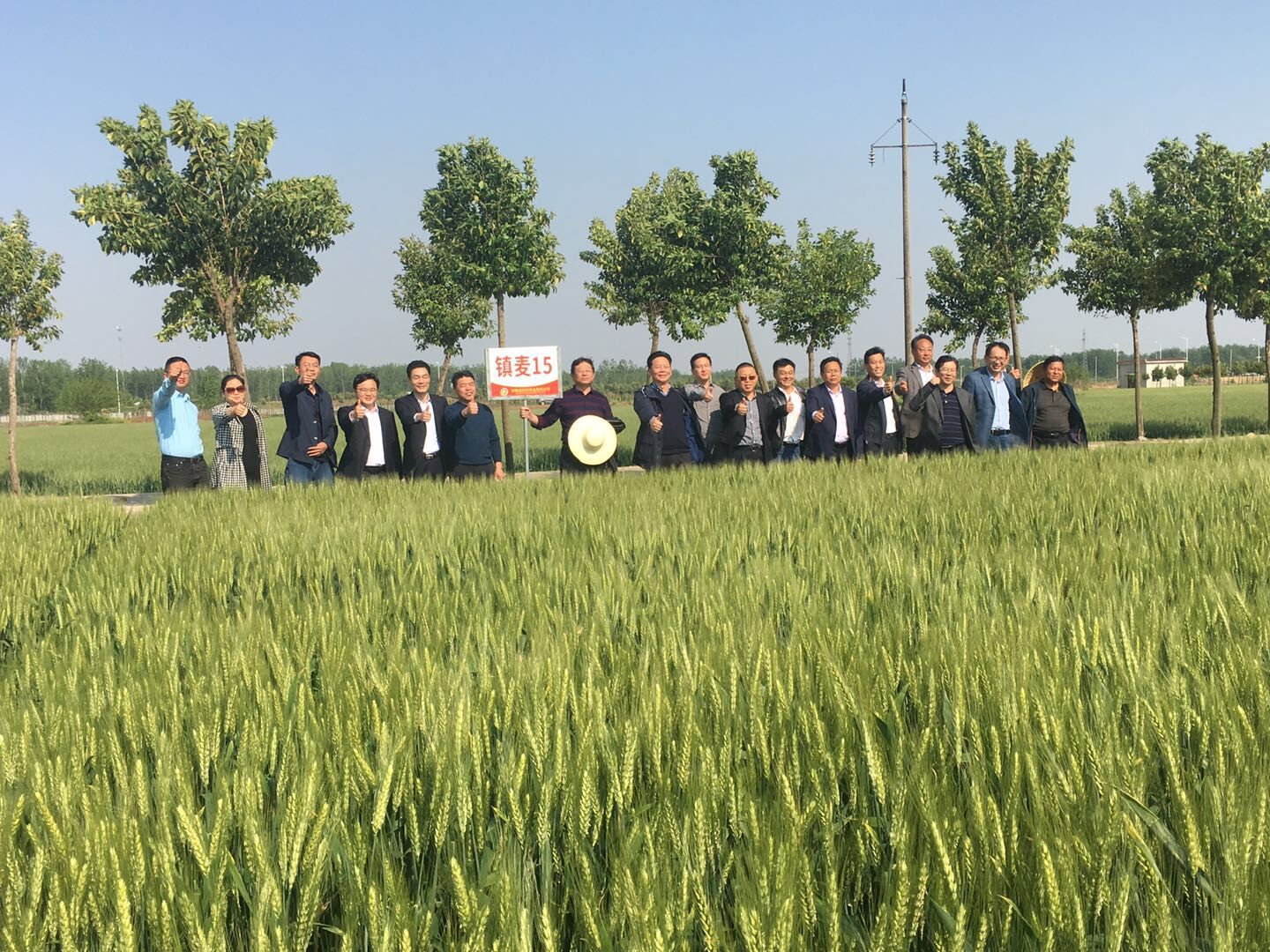 图片2.jpg 图片2.jpg