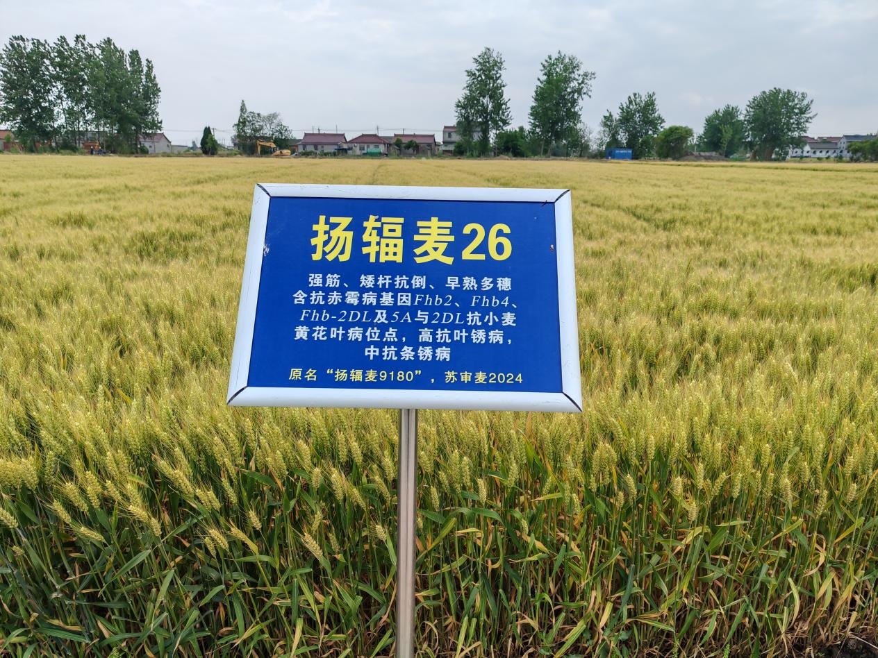 图片2.jpg 图片2.jpg