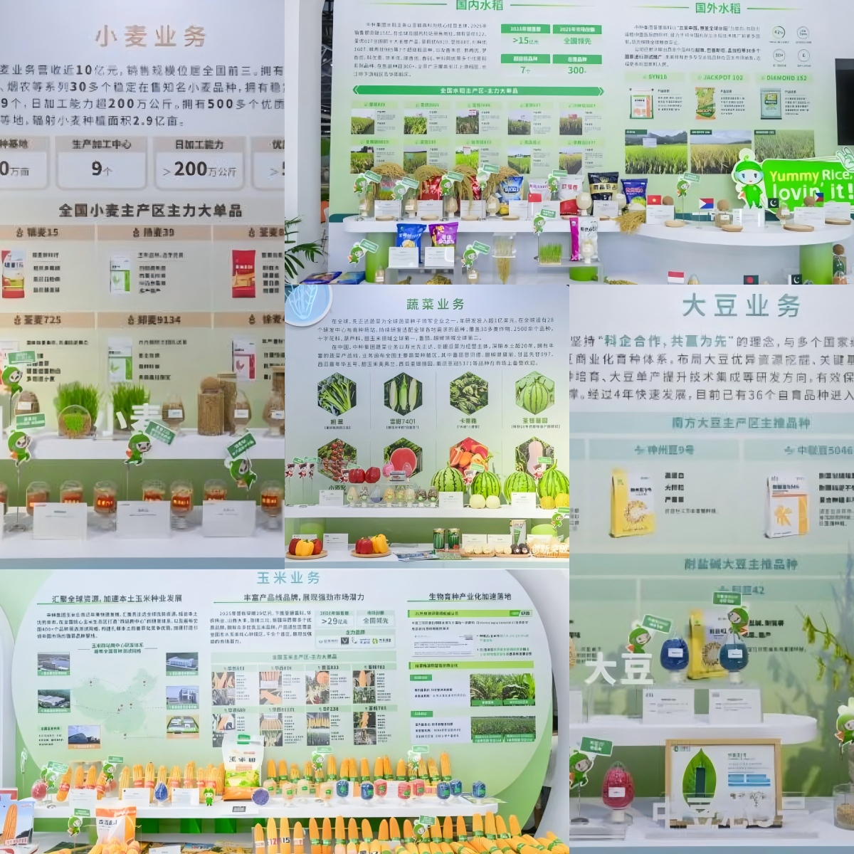 WPS拼图1.jpg